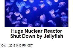 Huge Nuclear Reactor Shut Down by Jellyfish