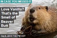 Love Vanilla? That&#39;s the Smell of Beaver Butt
