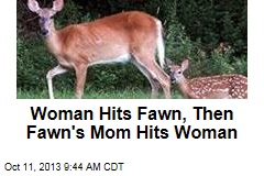 Woman Hits Fawn, Then Fawn&#39;s Mom Hits Woman