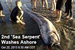 2nd &#39;Sea Serpent&#39; Washes Ashore