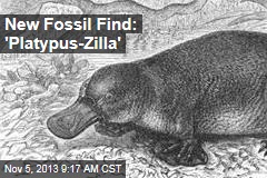 New Fossil Find: &#39;Platypus-Zilla&#39;