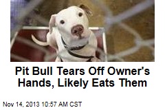 Pit Bull Tears Off Owner&#39;s Hands, Likely Eats Them