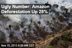 Ugly Number: Amazon Deforestation Up 28%