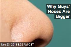 Why Guys&#39; Noses Are Bigger