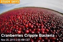 Cranberries Cripple Bacteria
