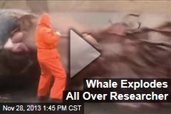 Whale Explodes All Over Researcher