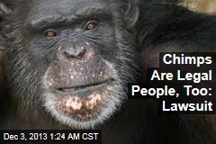 Lawsuit: Chimps Are Legal People, Too