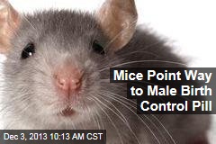 Mice Point Way to Male Birth Control Pill