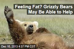 Feeling Fat? Grizzly Bears May Help With Obesity