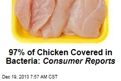 97% of Chicken Covered in Bacteria: Consumer Reports