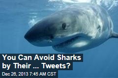 You Can Avoid Sharks By Their ... Tweets?