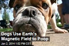 Dogs Use Earth&#39;s Magnetic Field to Poop