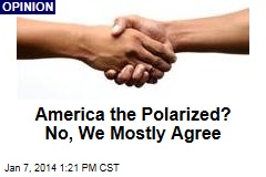 America the Polarized? No, We Mostly Agree