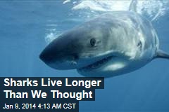 Sharks Live Longer Than We Thought