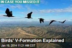 Birds&#39; V-Formation Explained