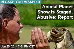 Animal Planet Show Is Staged, Plagued By Abuse