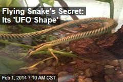 Flying Snake&#39;s Secret: Its &#39;UFO Shape&#39;