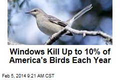 Windows kill up to 10% of America's birds each year