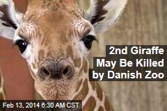 2nd Giraffe May Be Killed by Danish Zoo