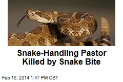 Snake-Handling Pastor Killed by Snake Bite
