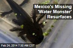 Mexico&#39;s Missing &#39;Water Monster&#39; Resurfaces