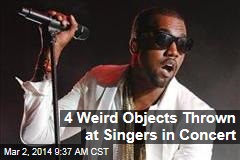 4 Weird Objects Thrown at Singers in Concert