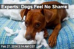 Experts: Dogs Feel No Shame