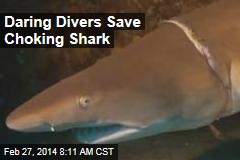 Daring Divers Save Choking Shark