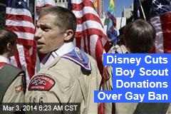 Disney Cuts Boy Scout Donations Over Gay Ban