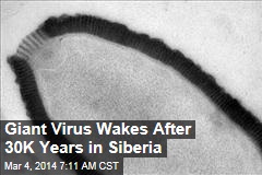 Giant Virus Revives After 30,000 Years