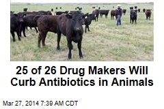 25 of 26 Drug Makers Agree to Curb Antibiotics in Meat