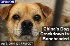 China&#39;s Dog Crackdown Is Boneheaded