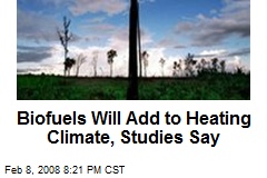 Biofuels Will Add to Heating Climate, Studies Say