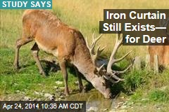 Iron Curtain Still Exists&mdash; for Deer