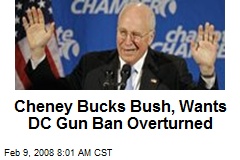Cheney Bucks Bush, Wants DC Gun Ban Overturned