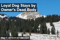 Loyal Dog Stays by Owner&#39;s Dead Body