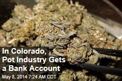 In Colorado, Pot Industry Gets a Bank Account