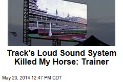 Track&#39;s Loud Sound System Killed My Horse: Trainer
