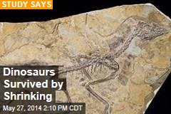 Dinosaurs Survived by Shrinking