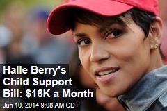 Halle Berry&#39;s Monthly Child Support Bill: $16K