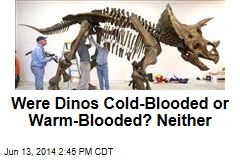 Were Dinos Cold-Blooded or Warm-Blooded? Neither