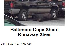 Baltimore Cops Shoot Runaway Steer