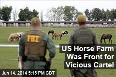 US Horse Farm Was Front for Vicious Cartel