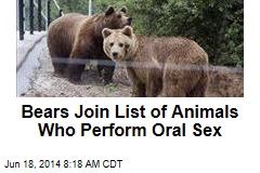 Bears Join List of Animals Who Perform Oral Sex