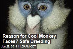 Reason for Cool Monkey Faces? Safe Breeding