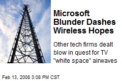 Microsoft Blunder Dashes Wireless Hopes