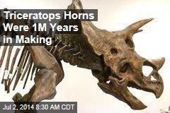 Triceratops Horns Were 1M Years in Making