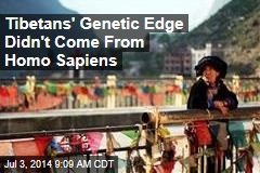 Tibetans&#39; Genetic Edge Didn&#39;t Come From Homo Sapiens