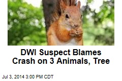 DWI Suspect Blames Crash on 3 Animals, Tree