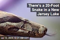 There&#39;s a 20-Foot Snake in a New Jersey Lake